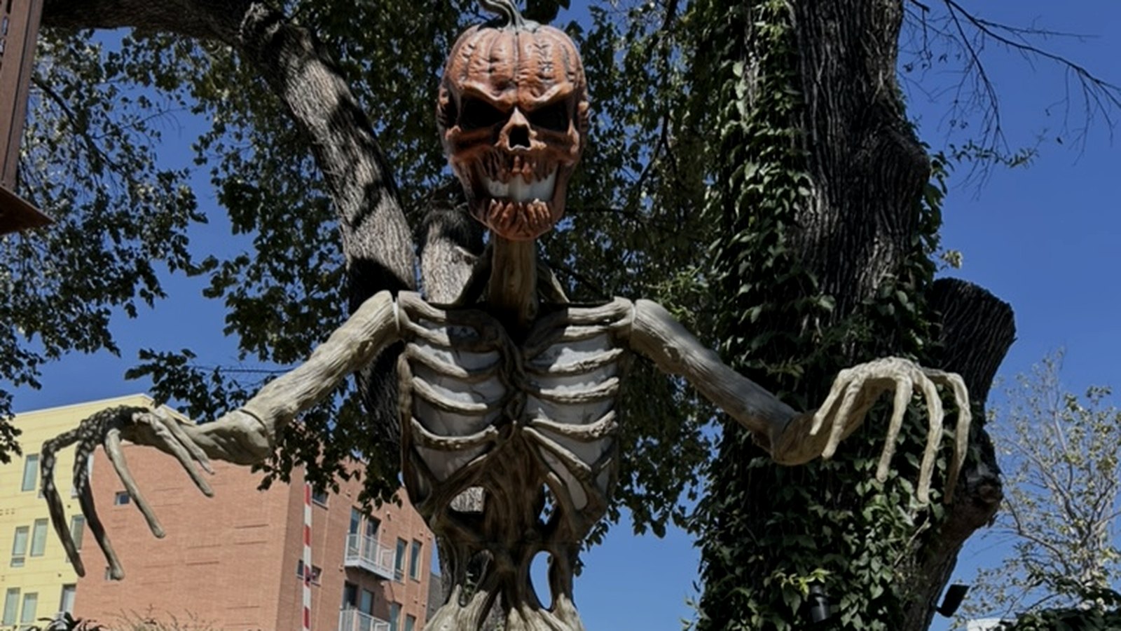 Halloween lands on a Longhorns Saturday, and the clocks fall back after.
